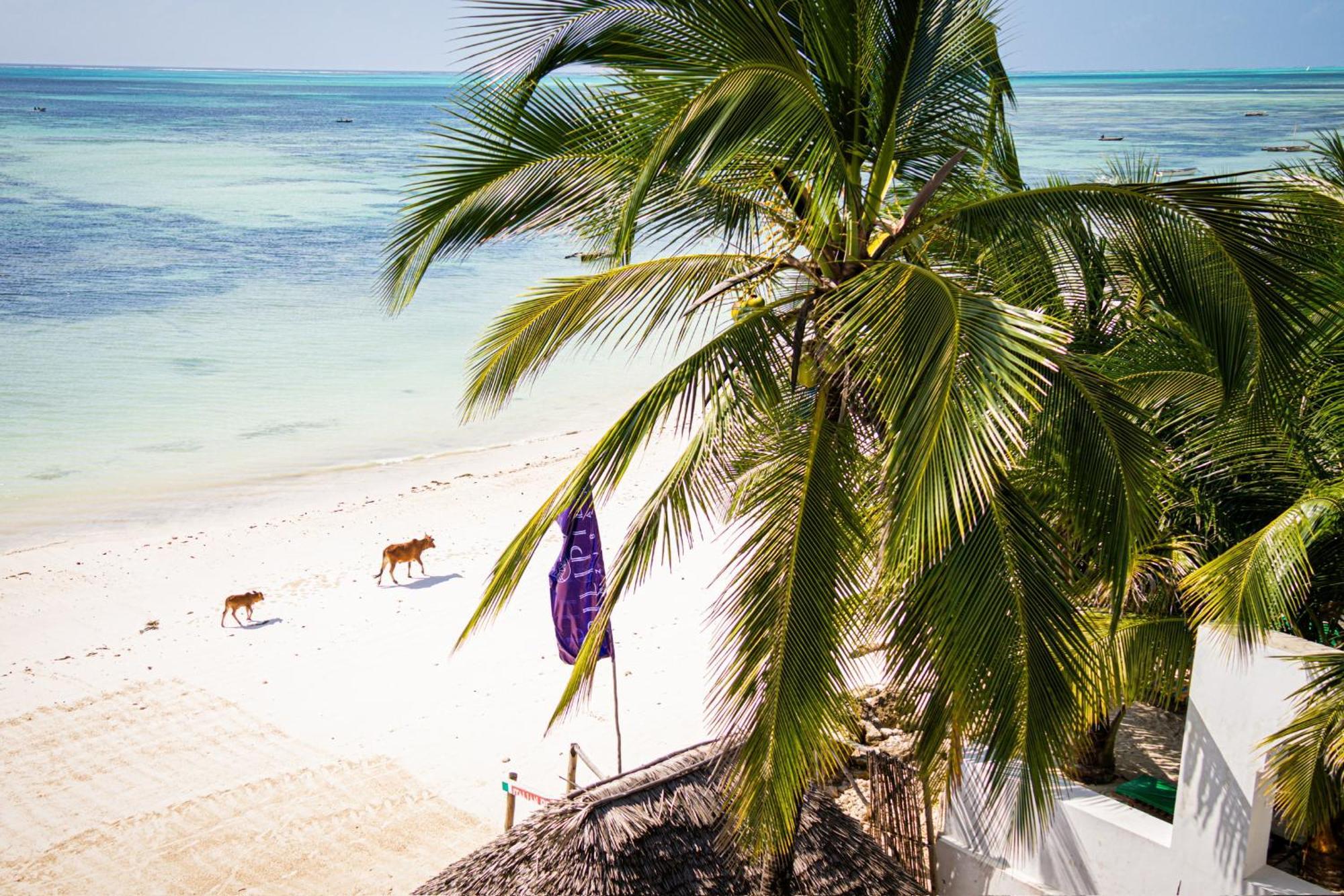 Hotel Pili Pili Sunrise Beach Jambiani  Zewnętrze zdjęcie